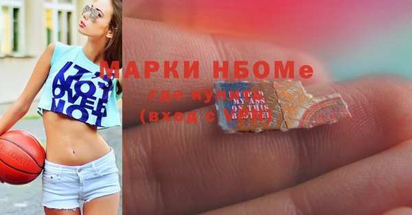 гидра Анжеро-Судженск