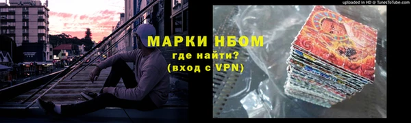 ПСИЛОЦИБИНОВЫЕ ГРИБЫ Кулебаки