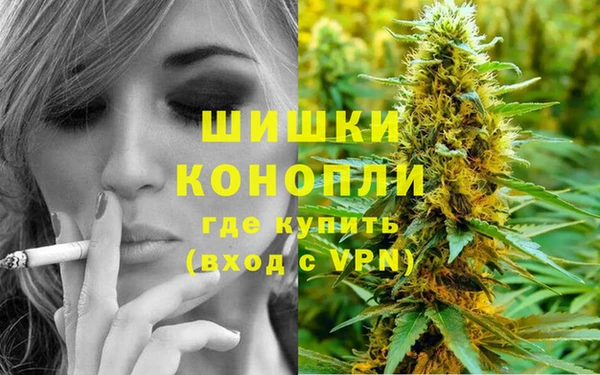 хмурый Корсаков