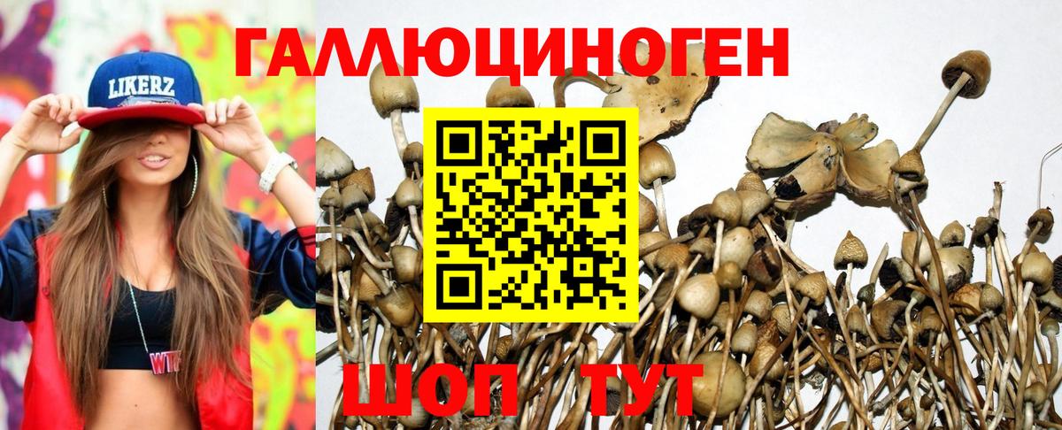 Псилоцибиновые грибы MAGIC MUSHROOMS Лабытнанги