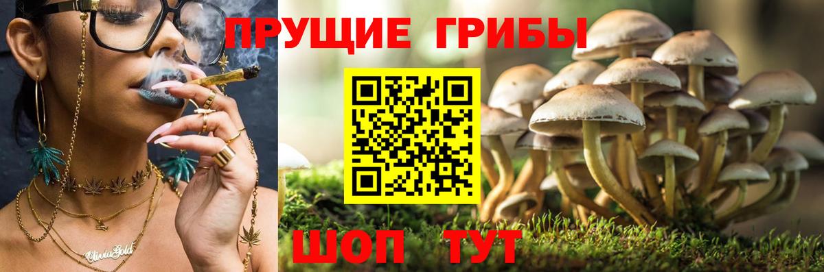 что такое   Вход с VPN  Галлюциногенные грибы MAGIC MUSHROOMS  Лабытнанги  Галлюциногенные грибы Magic Shrooms 